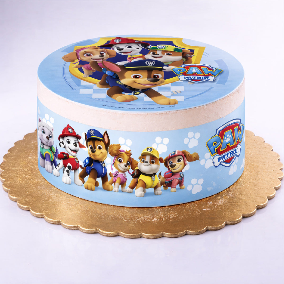 RIBBONS FONDANT DECORATION PAW PATROL A5 14,8X21CM