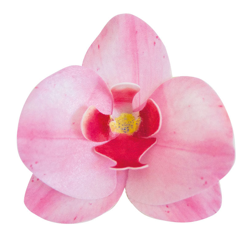 ORQUIDEA OBLEA ROSA  8.5 -7.5CM