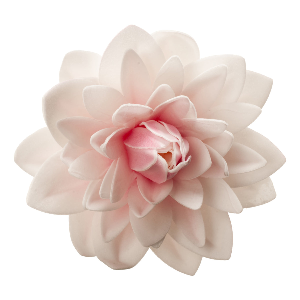 DALIA GIGANTE OBLEA COLOR ROSADO 12,5CM