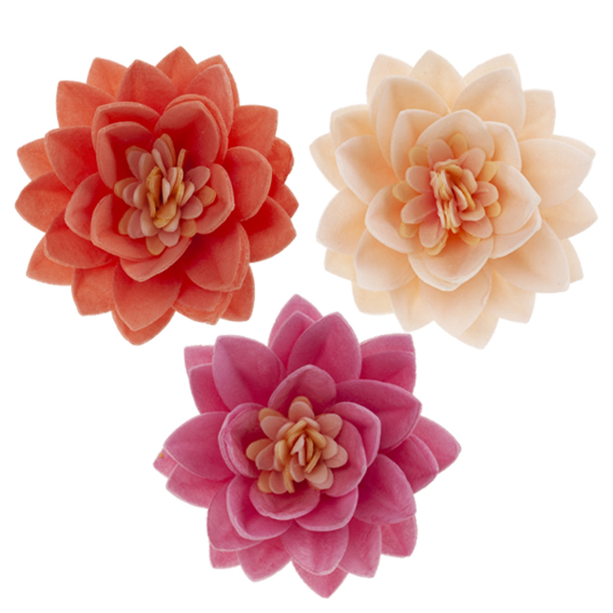 CAJA DE 15 FLORES DE LOTO DE OBLEA 3 COLORES Ø 7CM