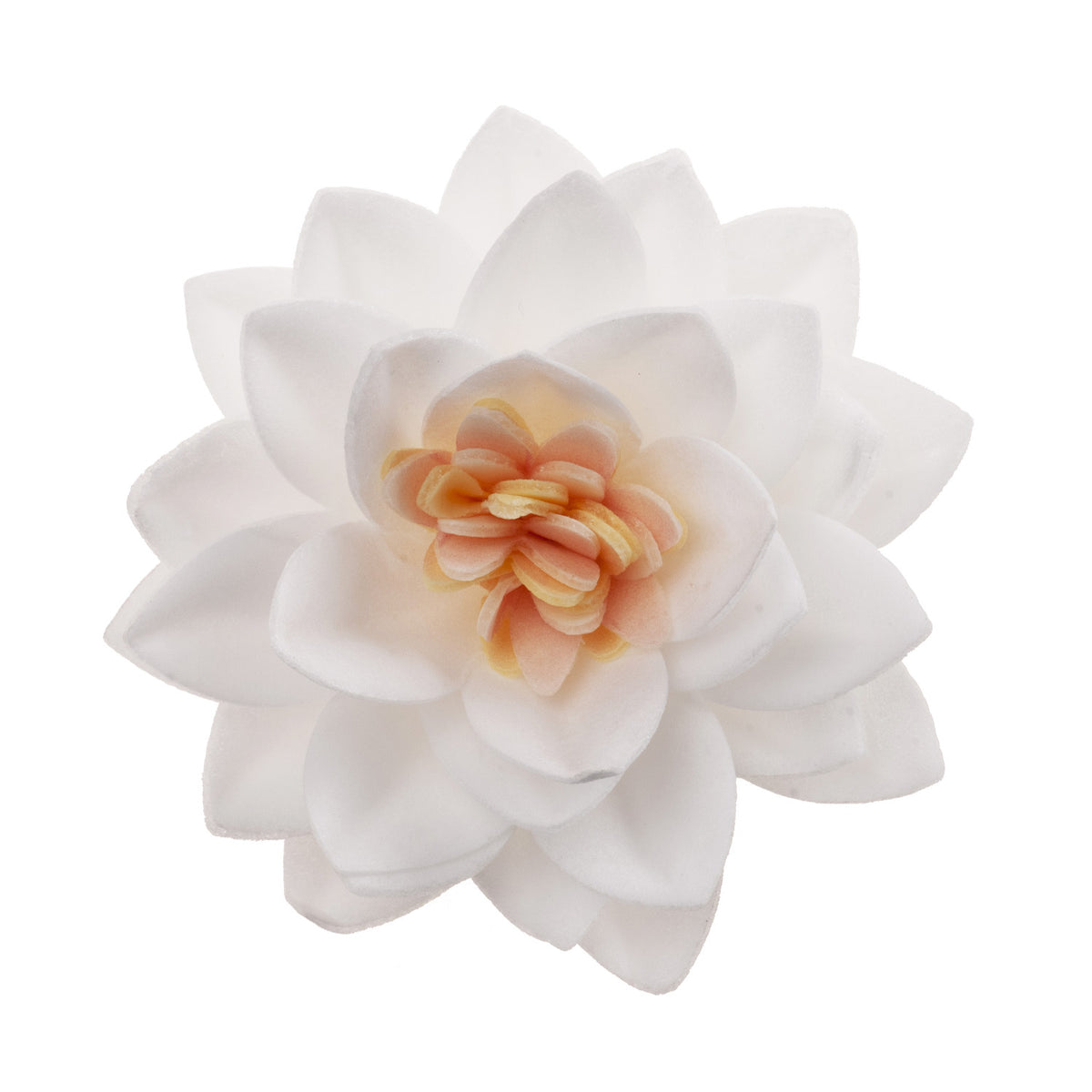 CAJA DE 15 FLORES DE LOTO DE OBLEA COLOR BLANCO Ø 7CM
