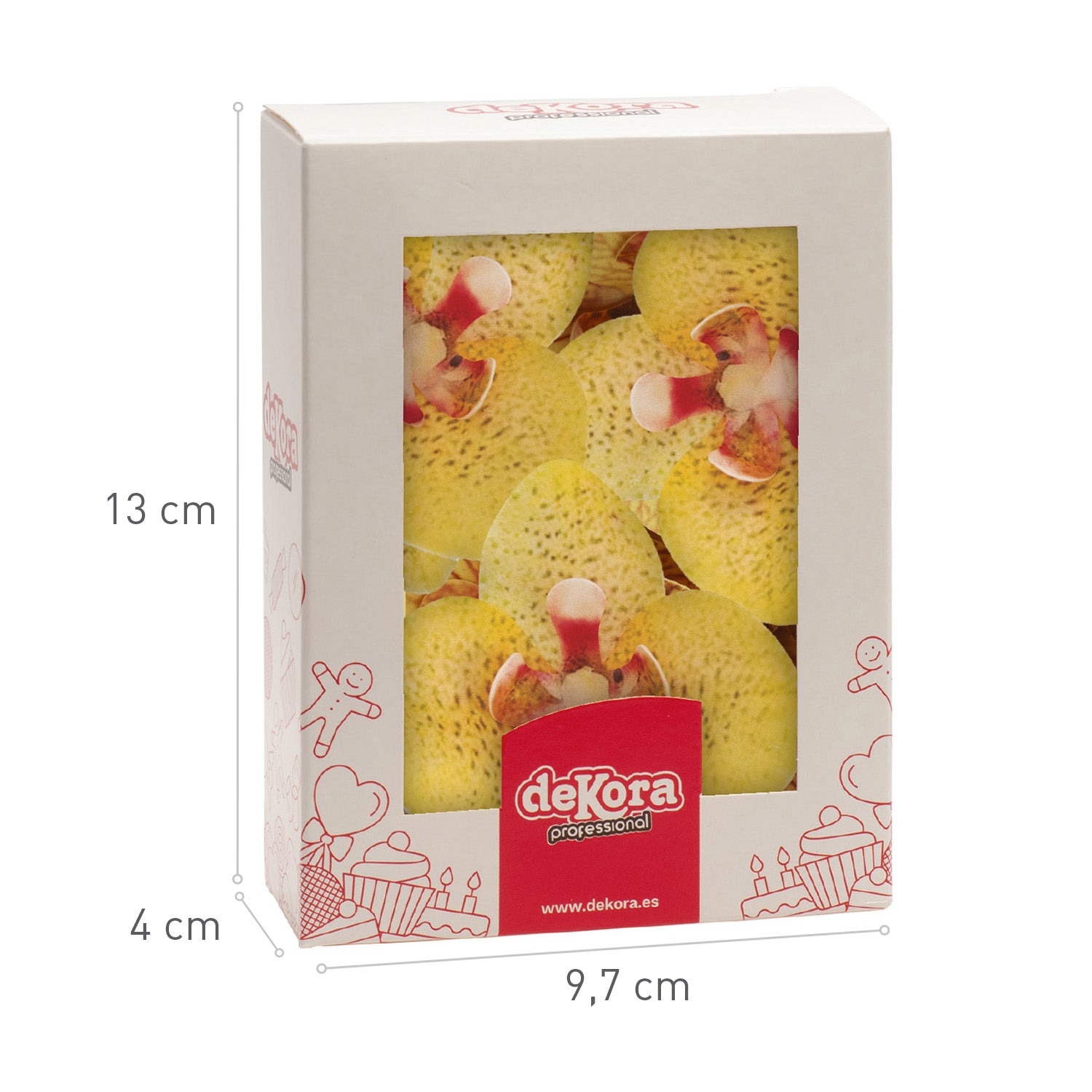 BOX OF 10 YELLOW WAFER ORCHIDS 8.5-7.5CM