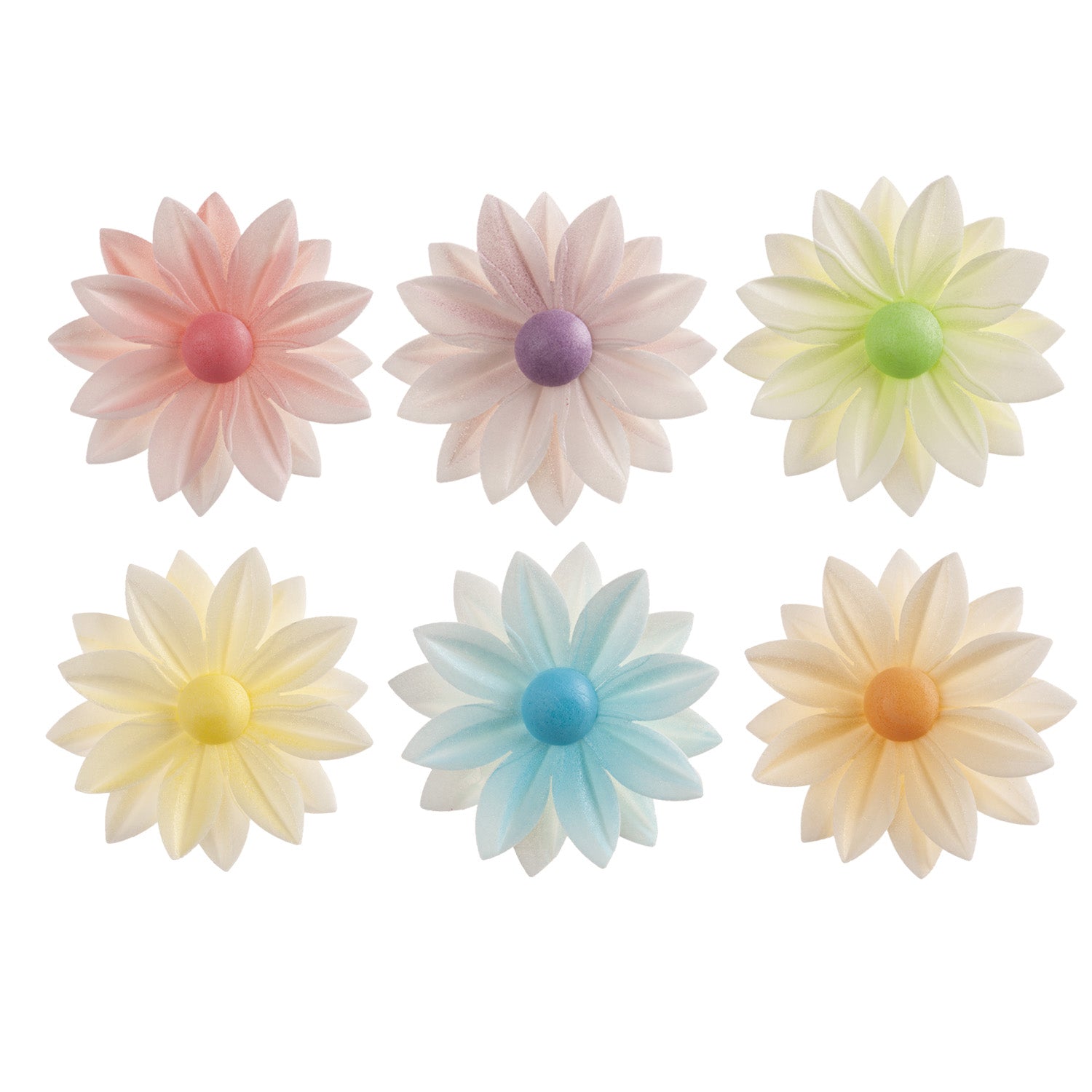 DAISY COLORES SURTIDOS 7CM