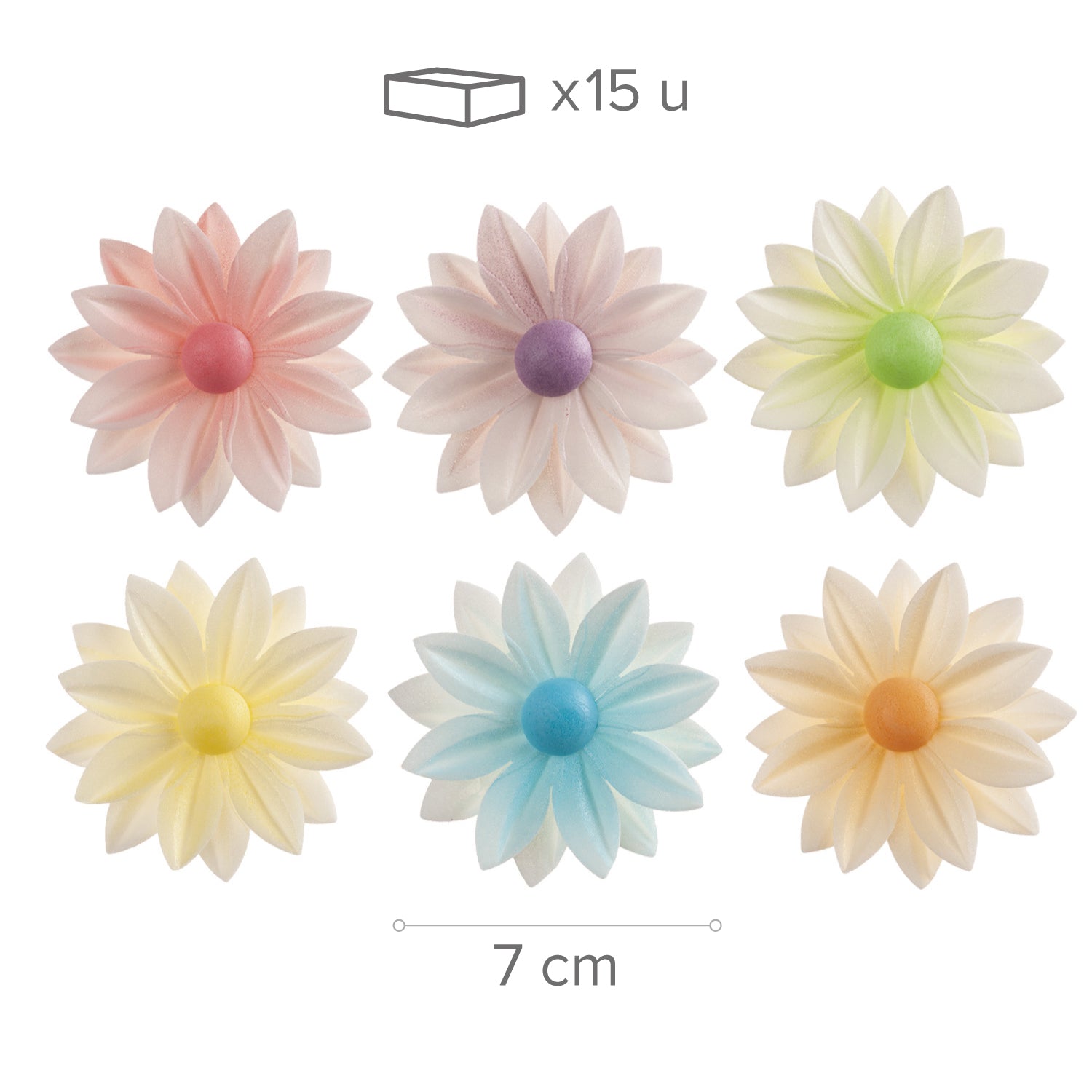 DAISY COLORES SURTIDOS 7CM
