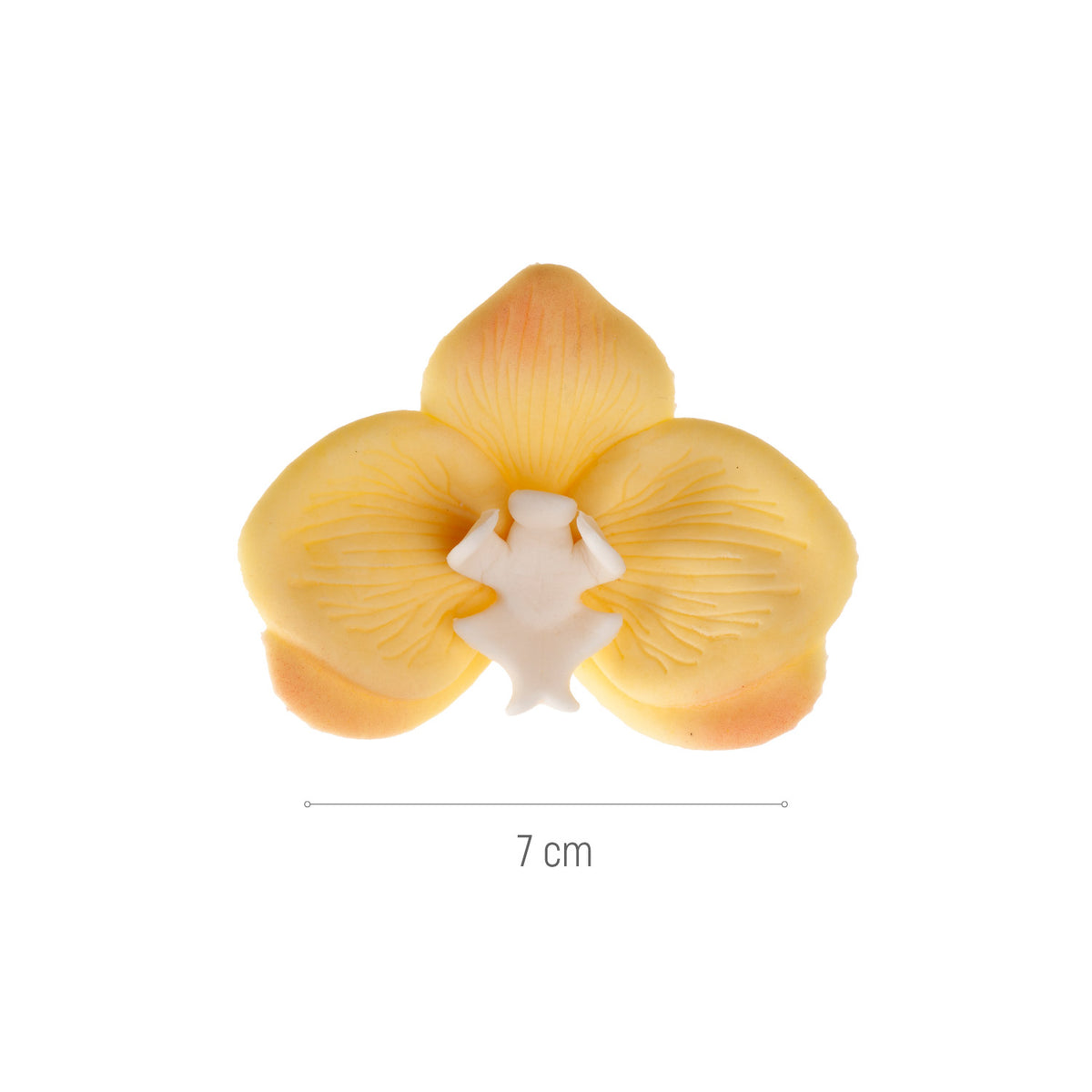 ORQUÍDEAS DE AZÚCAR 5 COLORES 7X8CM