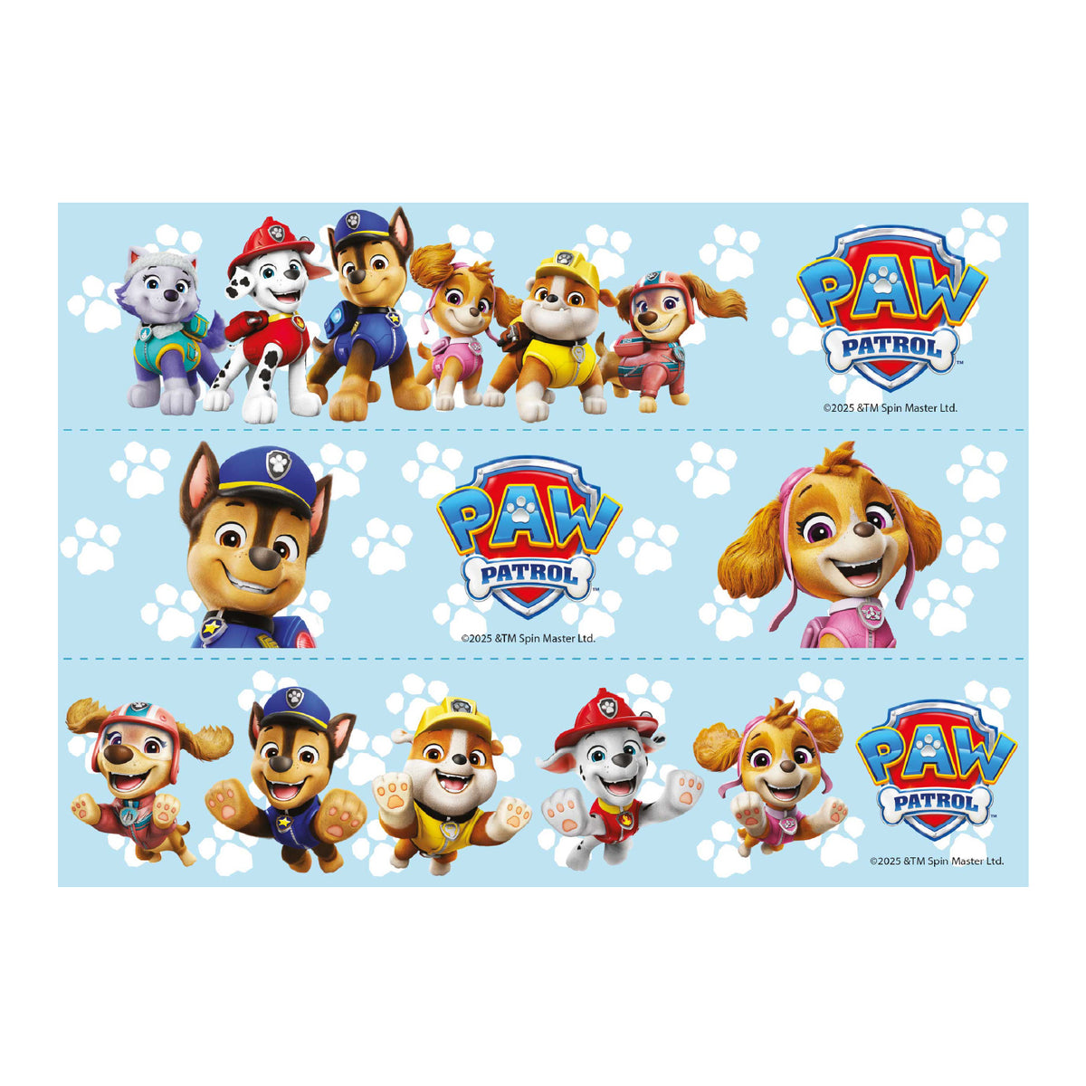 RIBBONS FONDANT DECORATION PAW PATROL A5 14,8X21CM