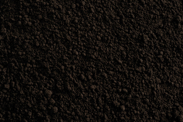 COLORANTE EN POLVO LIPOSOLUBLE NEGRO 25G AZF